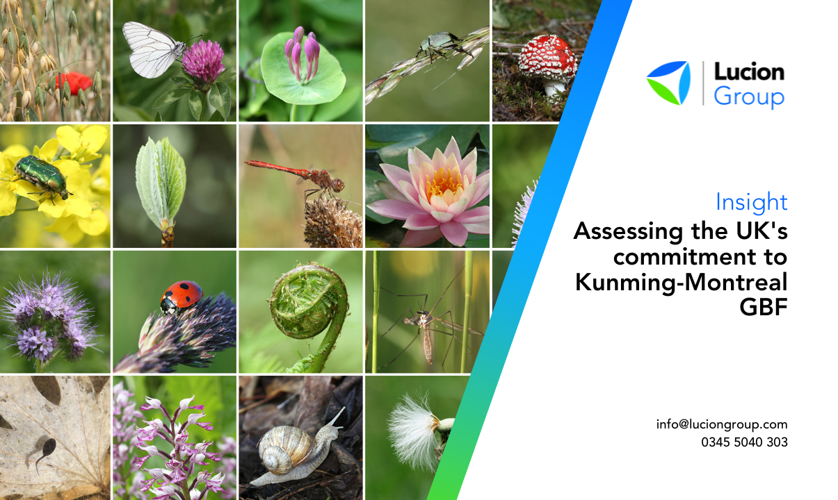 One Year On: Assessing the Kunming-Montreal Biodiversity Framework and the UK's Commitment to Biodiversity Conservation